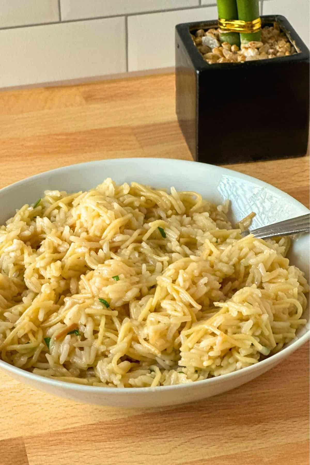 White bowl of homemade rice pilaf and a small plant in the background